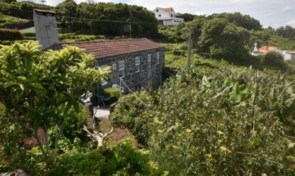Adega Do Gato Hotel Calhau Bagian luar foto
